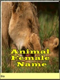 AnimalFemaleName mobile app for free download