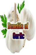 Benefits of Garlic mobile app for free download