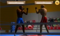Boxing Game mobile app for free download