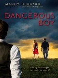 Dangerous Boy  Mandy Hubbard mobile app for free download