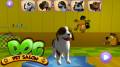 Dog Pet Salon mobile app for free download