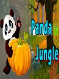 Panda In Jungle mobile app for free download