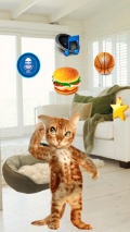 Real Talking Cat mobile app for free download