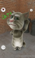 Talking Cat Tom mobile app for free download