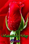 Valentines Day Cards mobile app for free download