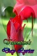 Valentines Day Lyrics mobile app for free download
