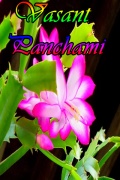 Vasant Panchami mobile app for free download