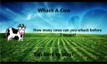 Whack A Cow mobile app for free download