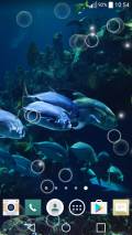 Aquarium Live Wallpaper mobile app for free download
