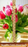 Beautiful Tulips Zipper Lock mobile app for free download