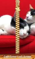Cats Zipper Lock Screen mobile app for free download