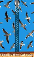 Flying Bird Zipper Lock Screen mobile app for free download