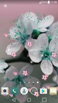 Spring Flowers Live Wallpaper mobile app for free download