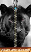 Wild Cats Zipper Lock Screen mobile app for free download