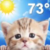 Weather Kitty 1.7 mobile app for free download