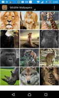 Wildlife Wallpapers mobile app for free download