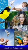 Birds Photo Collage Maker mobile app for free download