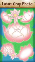 Lotus Crop Photo mobile app for free download