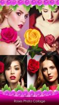 Roses Photo Collage mobile app for free download