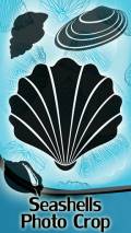 Seashells Photo Crop mobile app for free download
