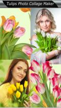 Tulips Photo Collage Maker mobile app for free download