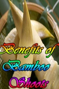 Benefits of Bamboo Shoots mobile app for free download