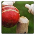 Live Cricket Score mobile app for free download