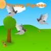 Pigeon Race mobile app for free download