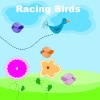 Racing Birds mobile app for free download