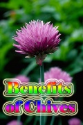 Benefits of Chives mobile app for free download