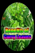 Benefits of Curry Leaves mobile app for free download